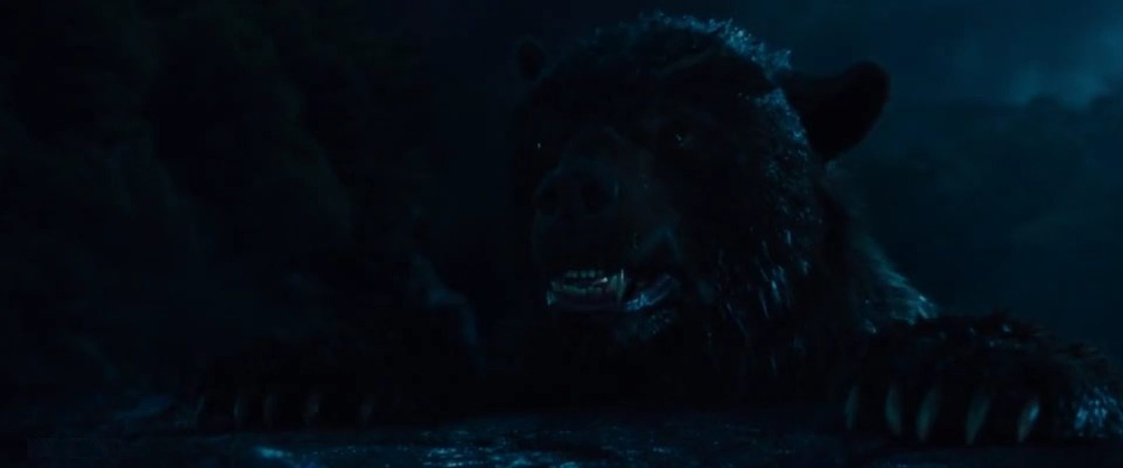 熊嗨了剧照的剧照