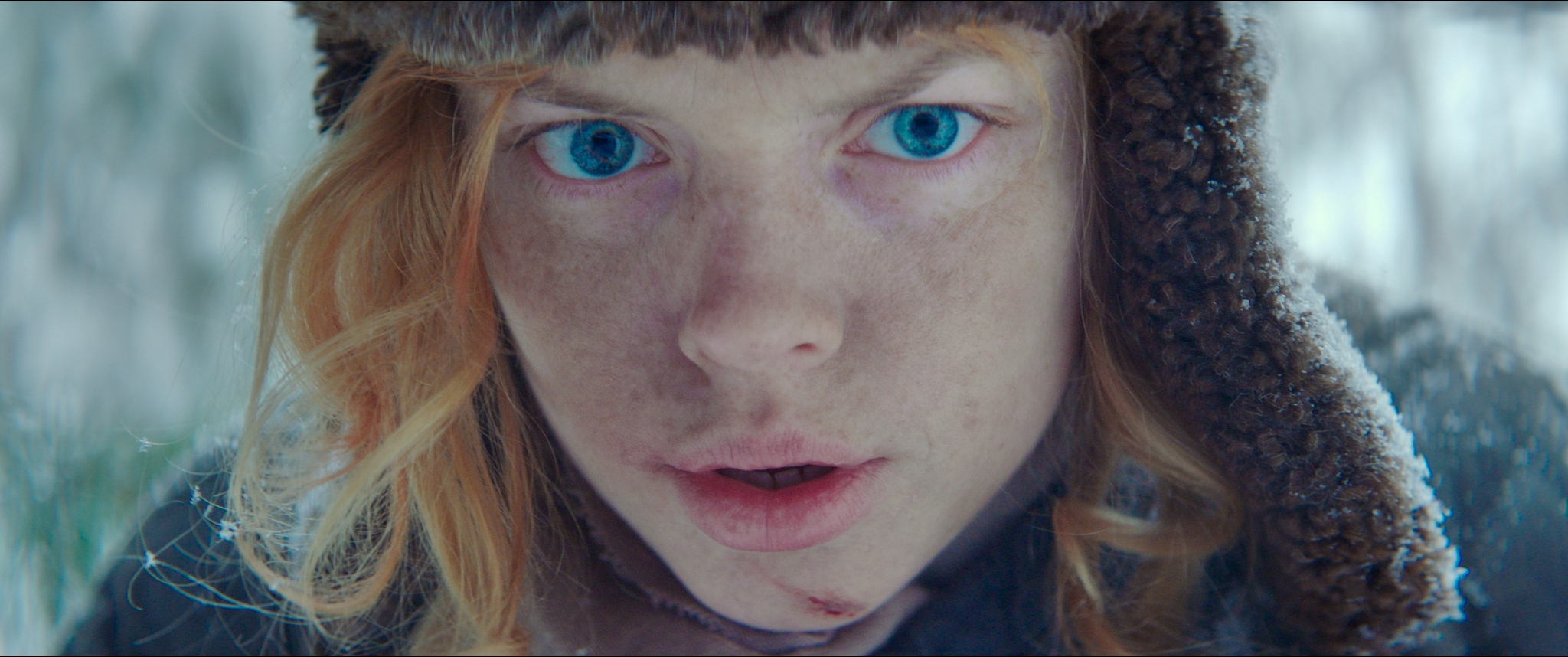 贝伦施泰因剧照的剧照