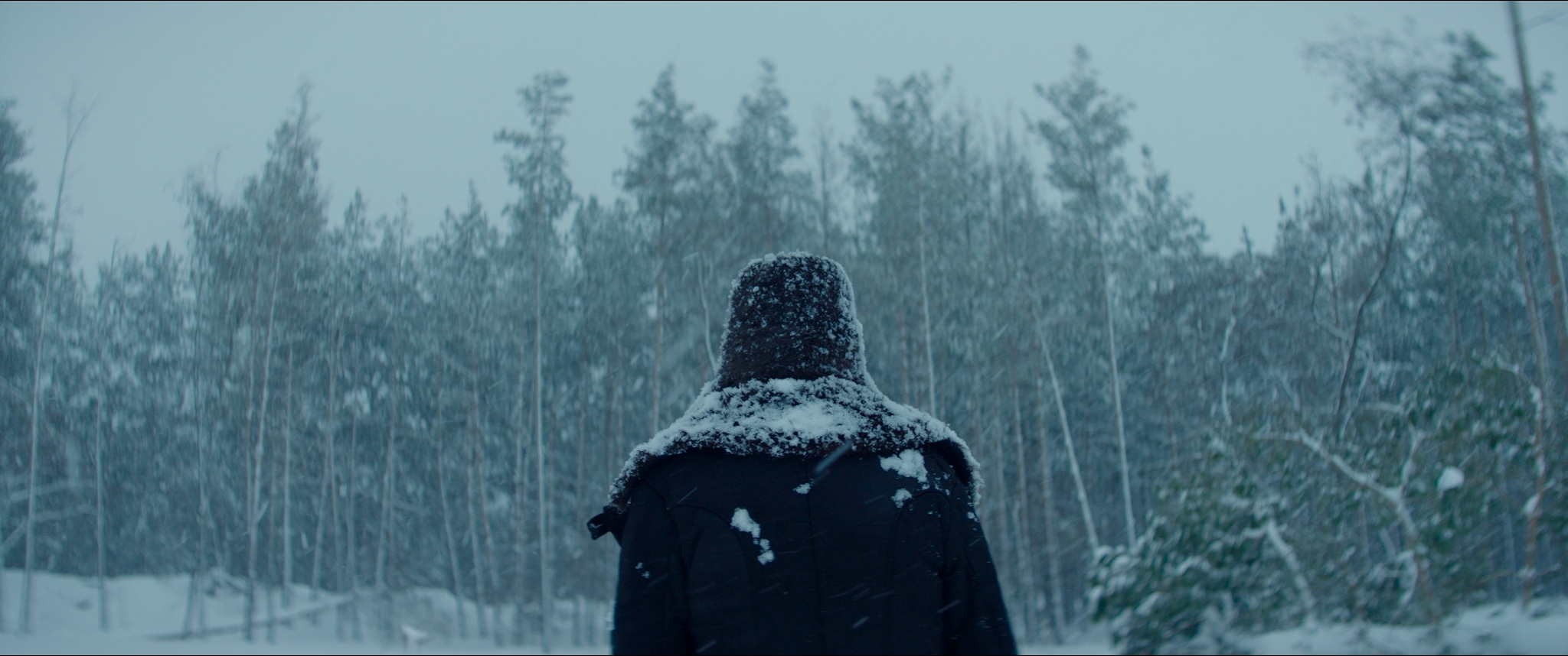 贝伦施泰因剧照的剧照