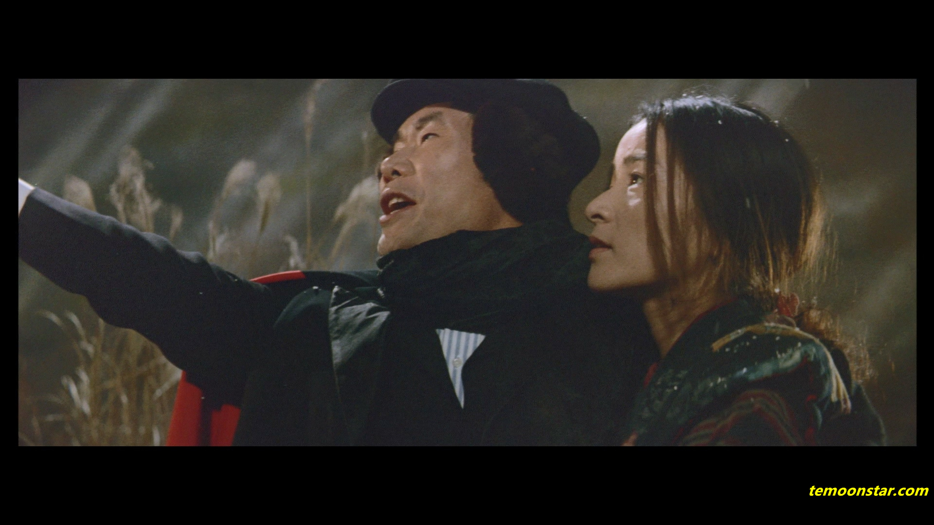 寅次郎的故事12：我的寅先生剧照的剧照