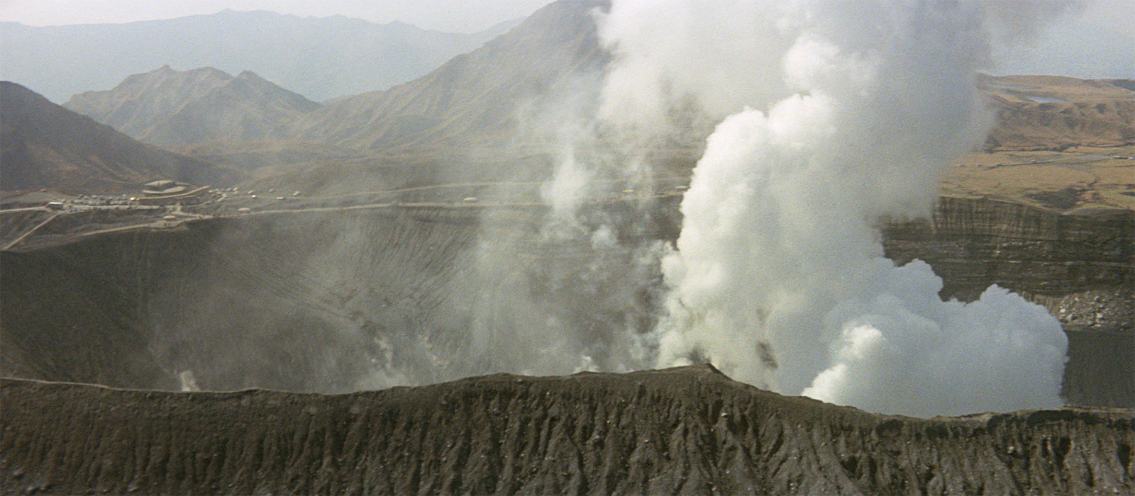 寅次郎的故事12：我的寅先生剧照的剧照