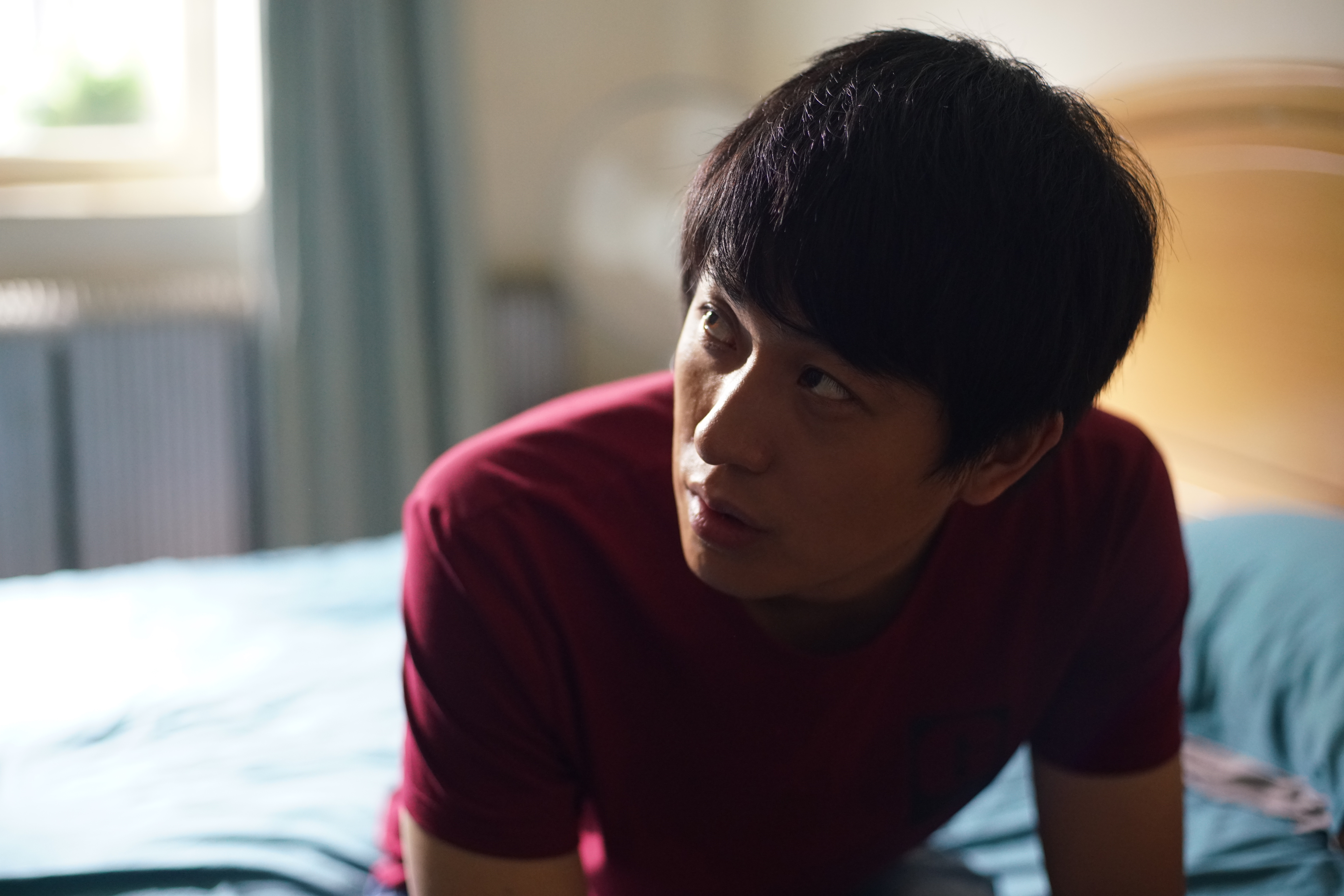 寻狗启事剧照的剧照