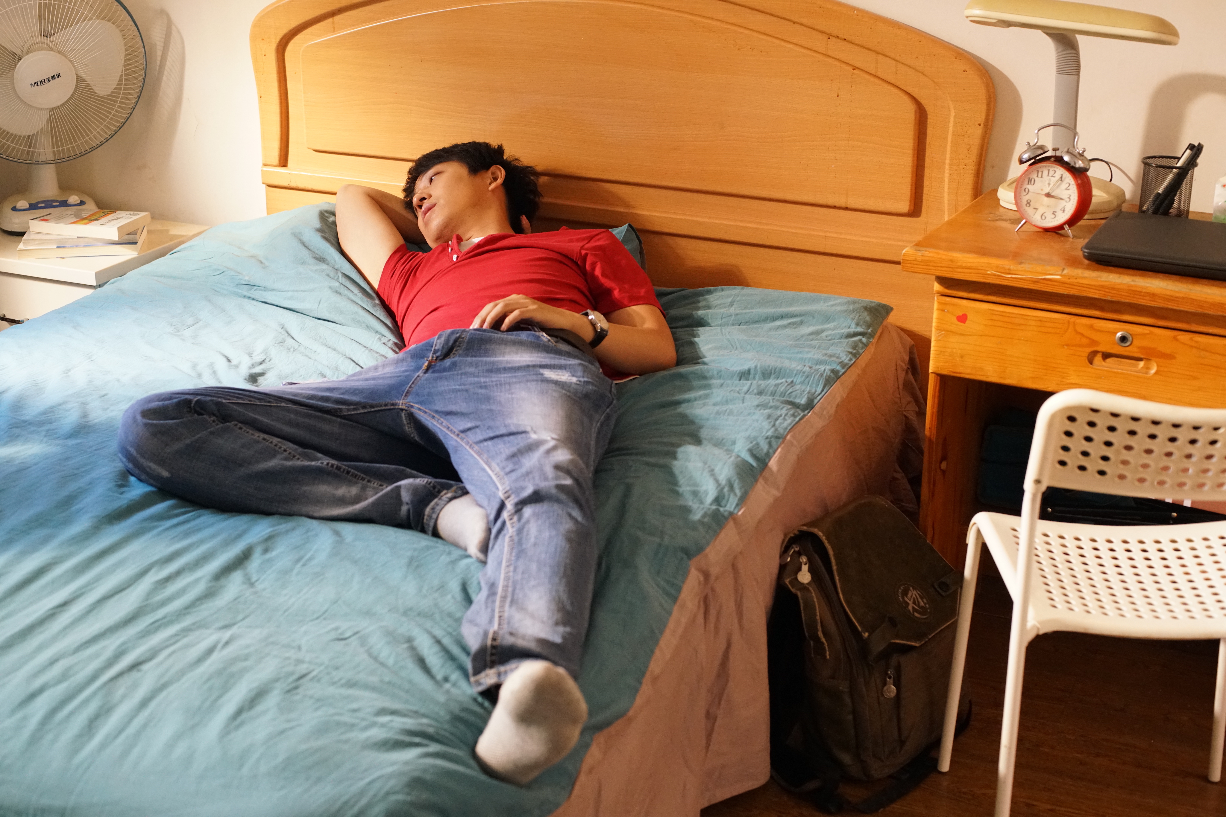 寻狗启事剧照的剧照