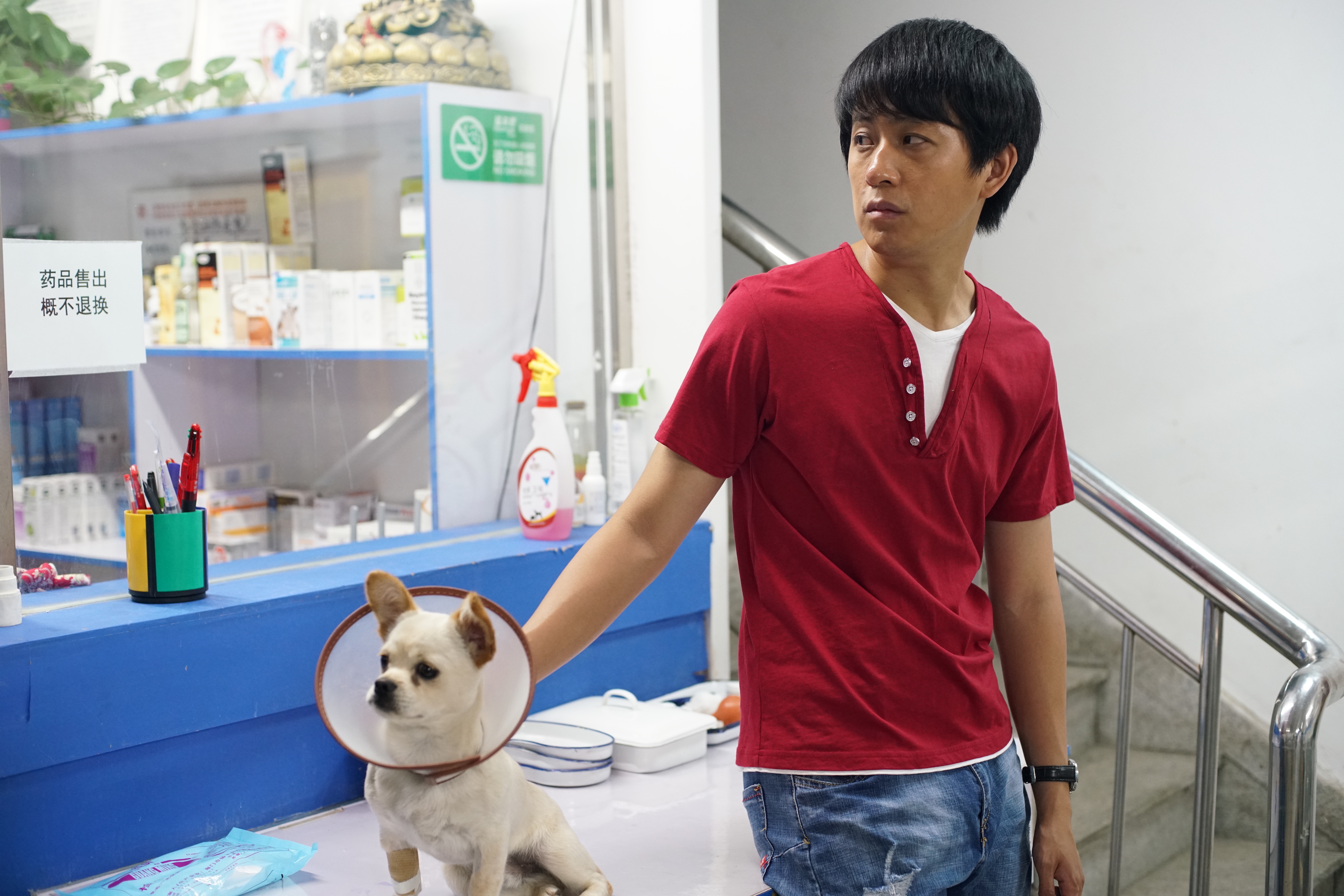 寻狗启事剧照的剧照