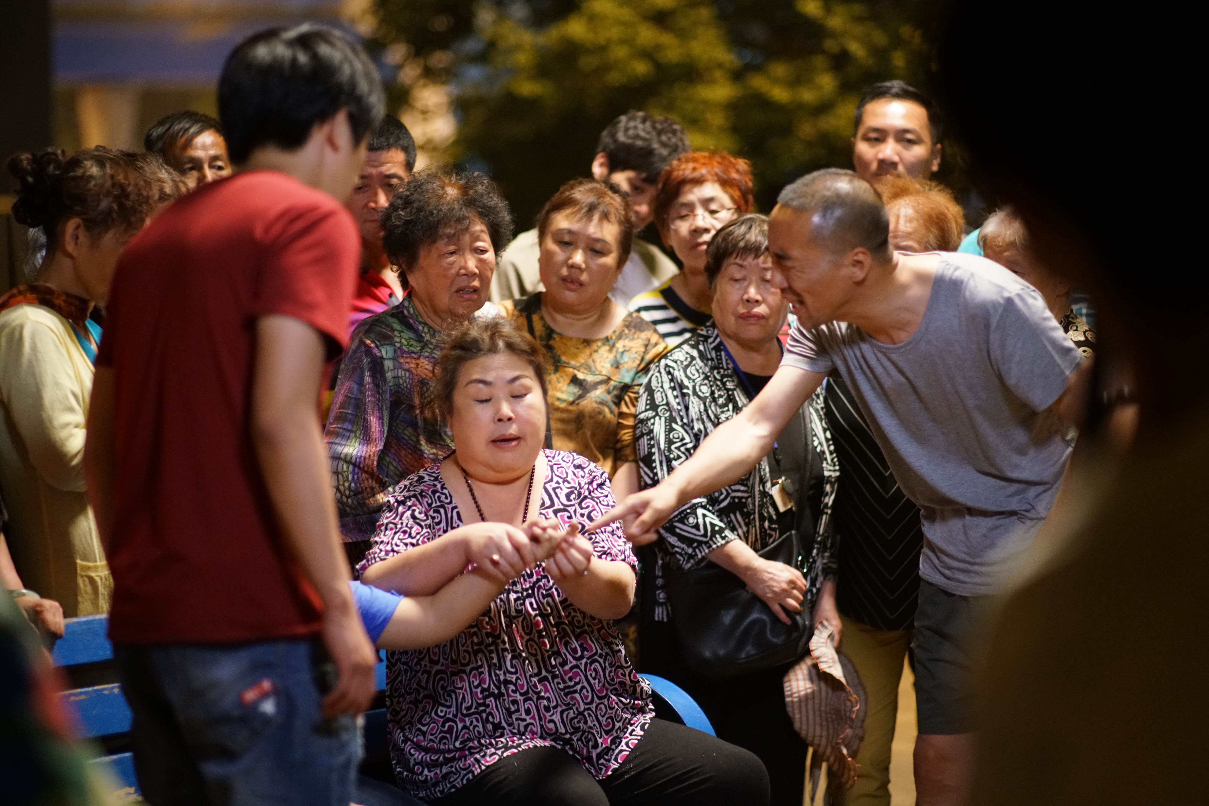 寻狗启事剧照的剧照