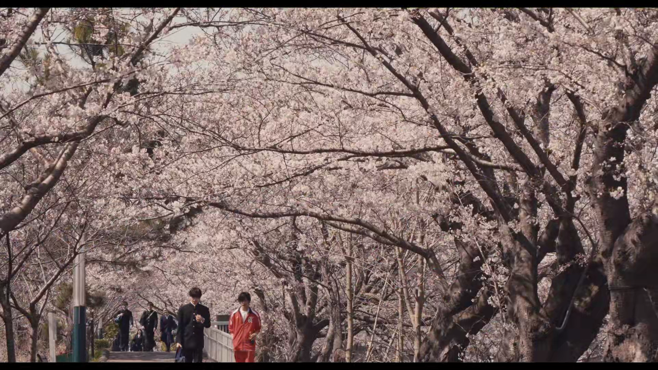 20岁的灵魂剧照的剧照