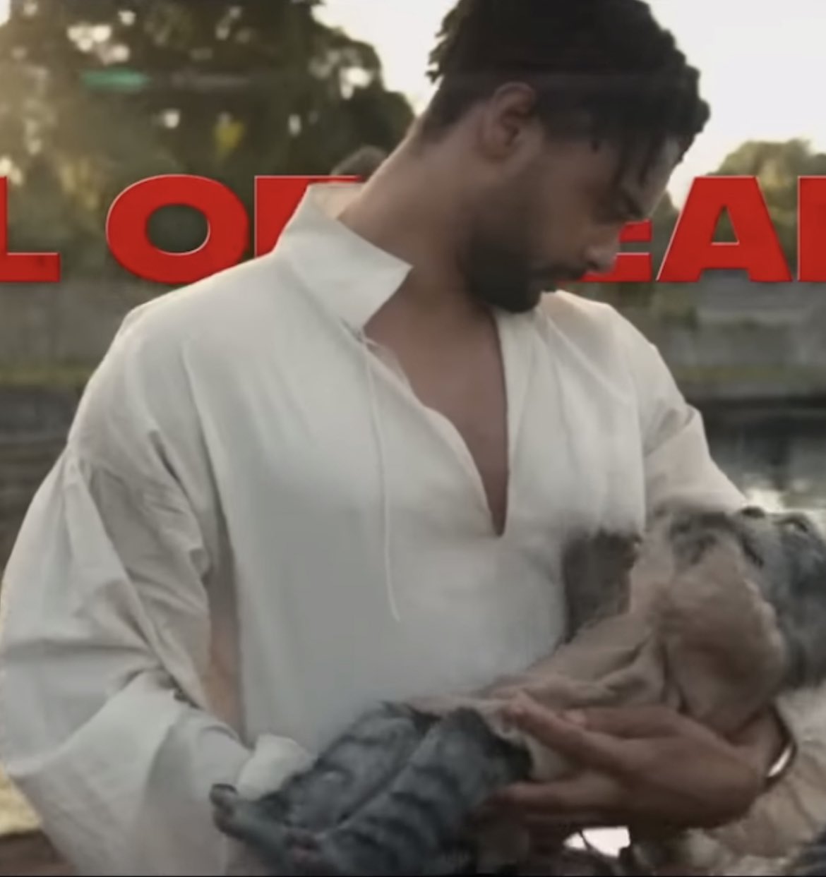 龙与地下城：侠盗荣耀剧照的剧照