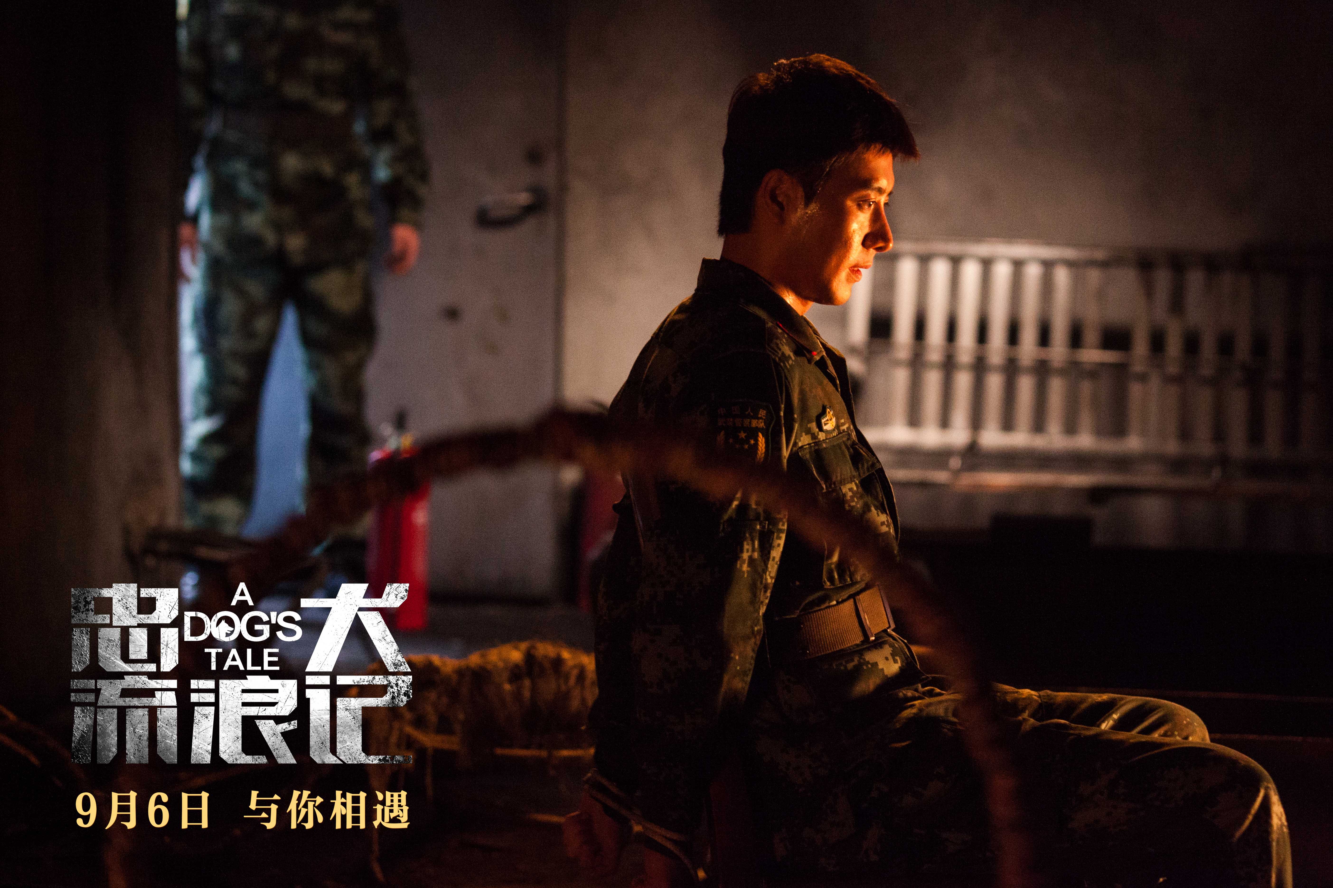 忠犬流浪记剧照的剧照