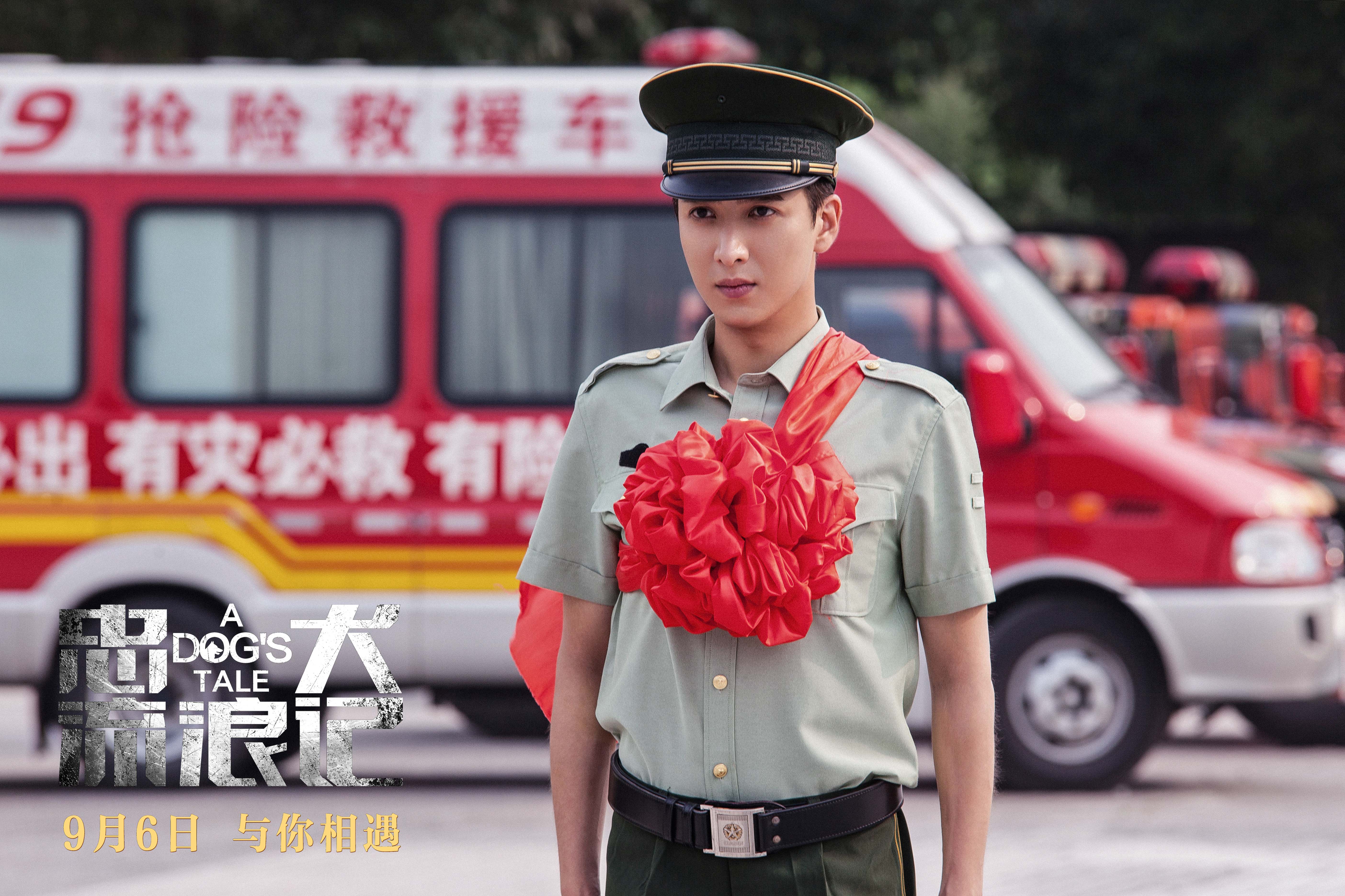 忠犬流浪记剧照的剧照