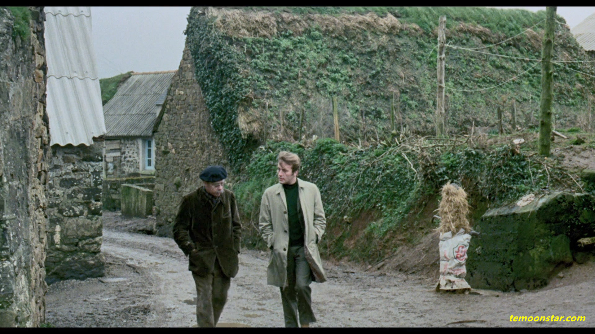 禽兽该死剧照的剧照