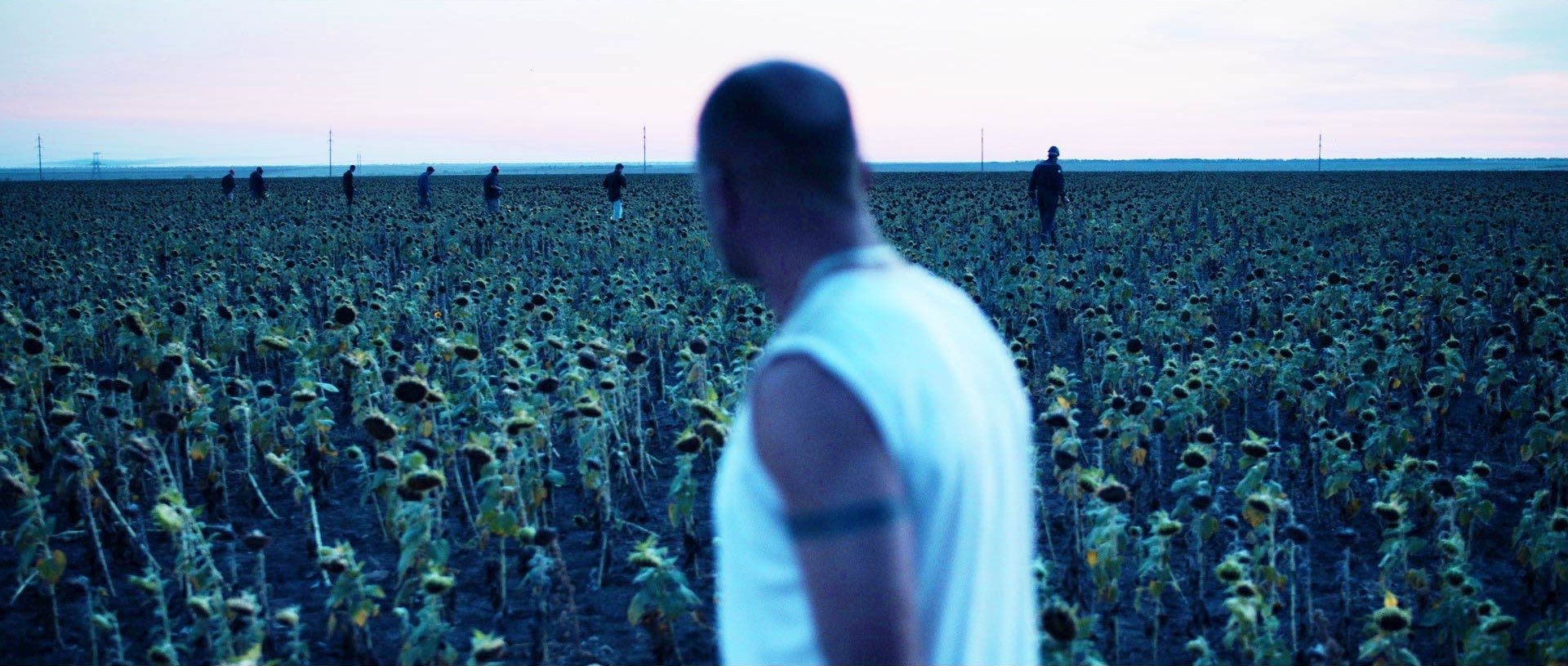 克朗代克剧照的剧照