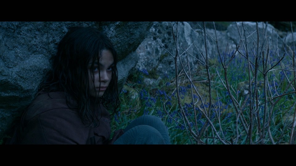 逃出白垩纪剧照的剧照