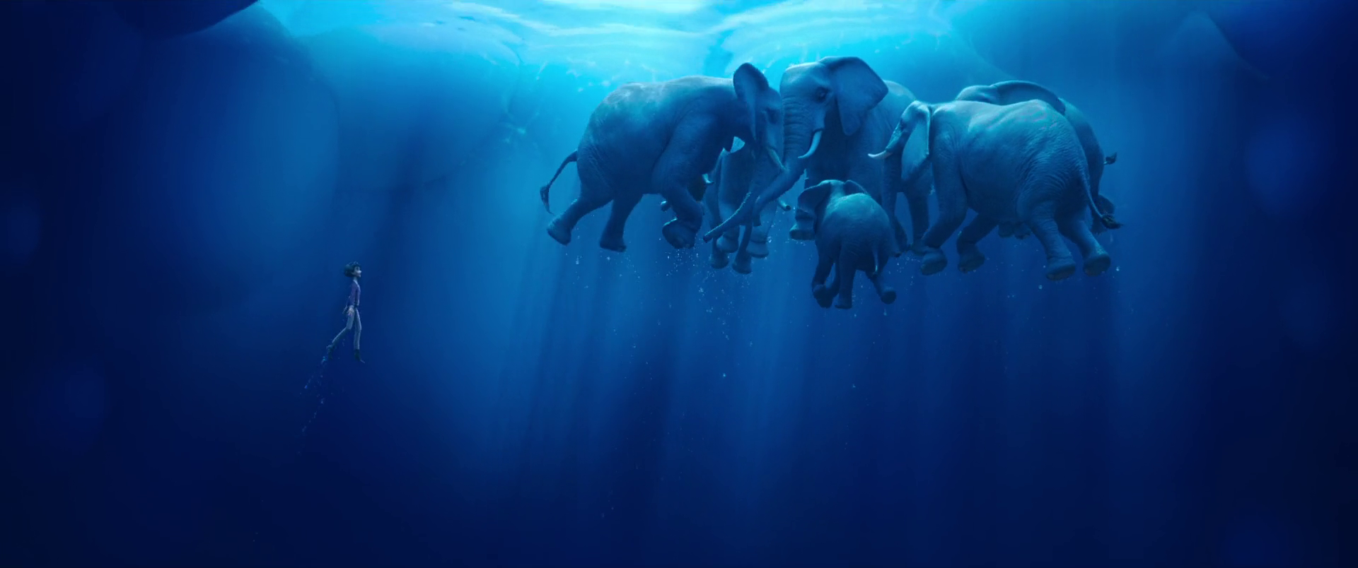 魔术师的大象剧照的剧照