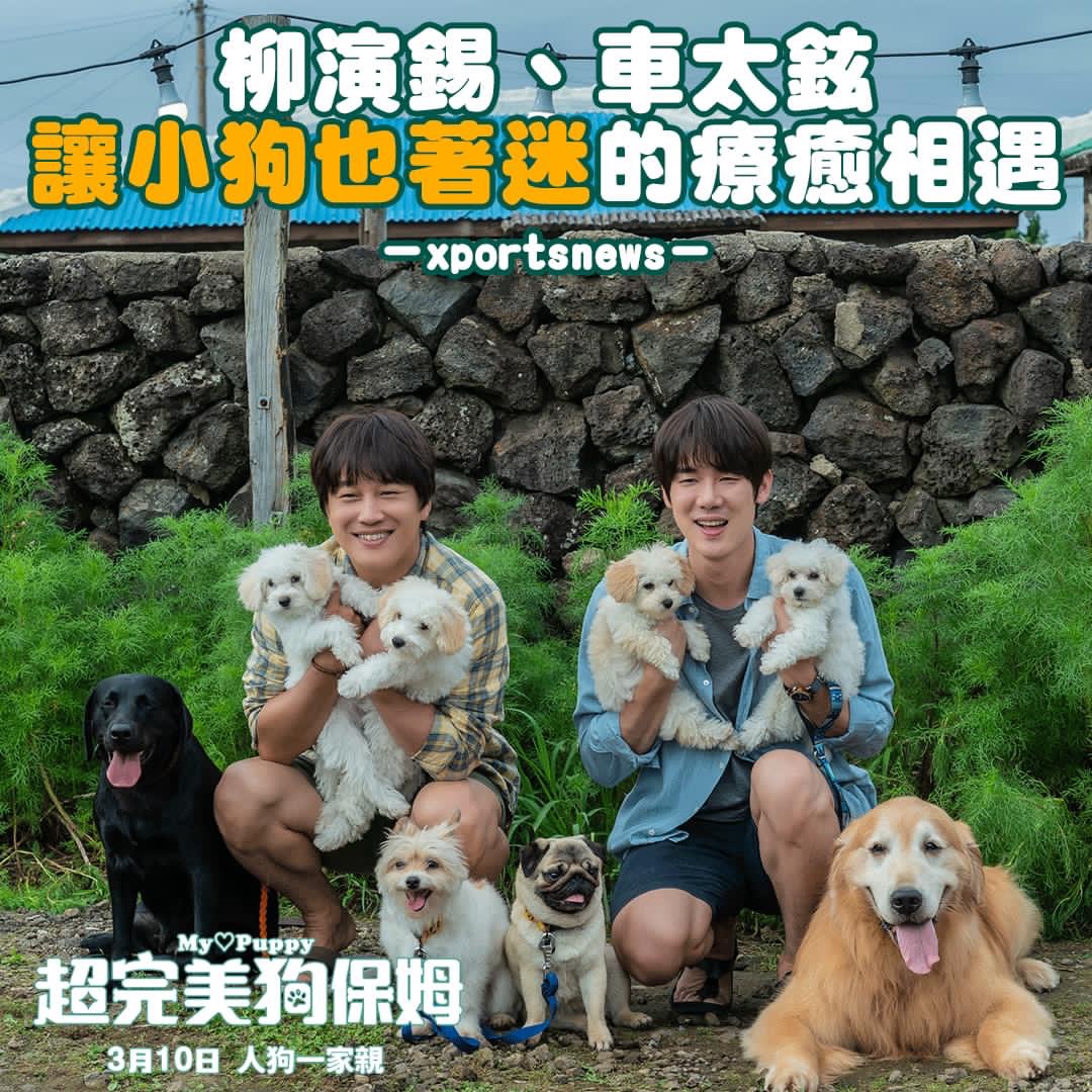 小奶狗剧照的剧照