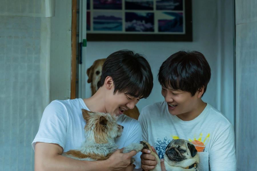 小奶狗剧照的剧照