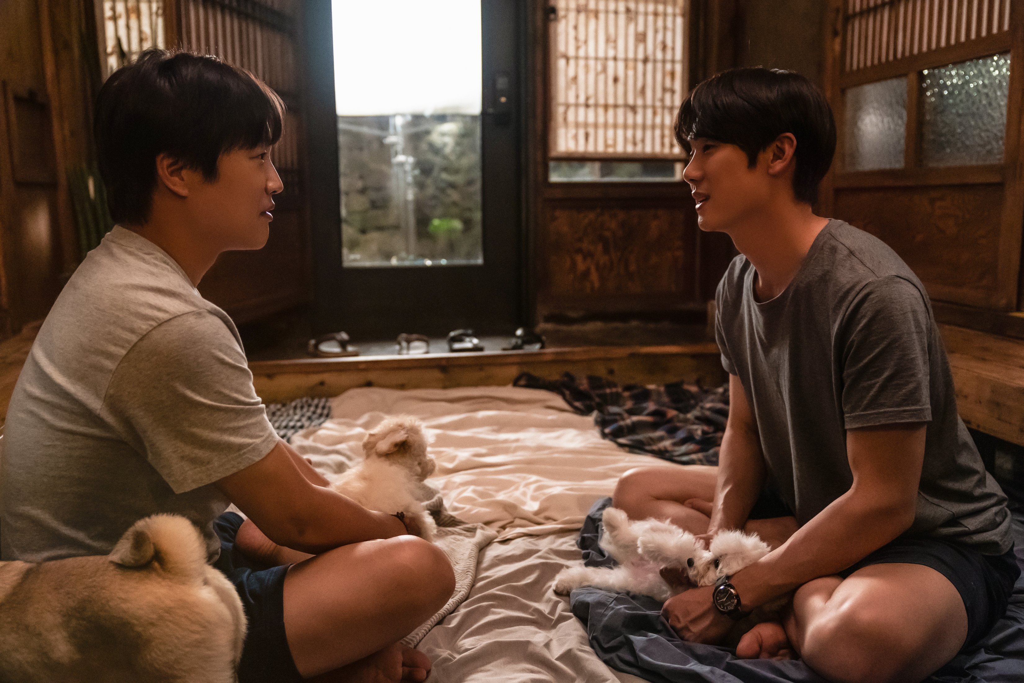 小奶狗剧照的剧照