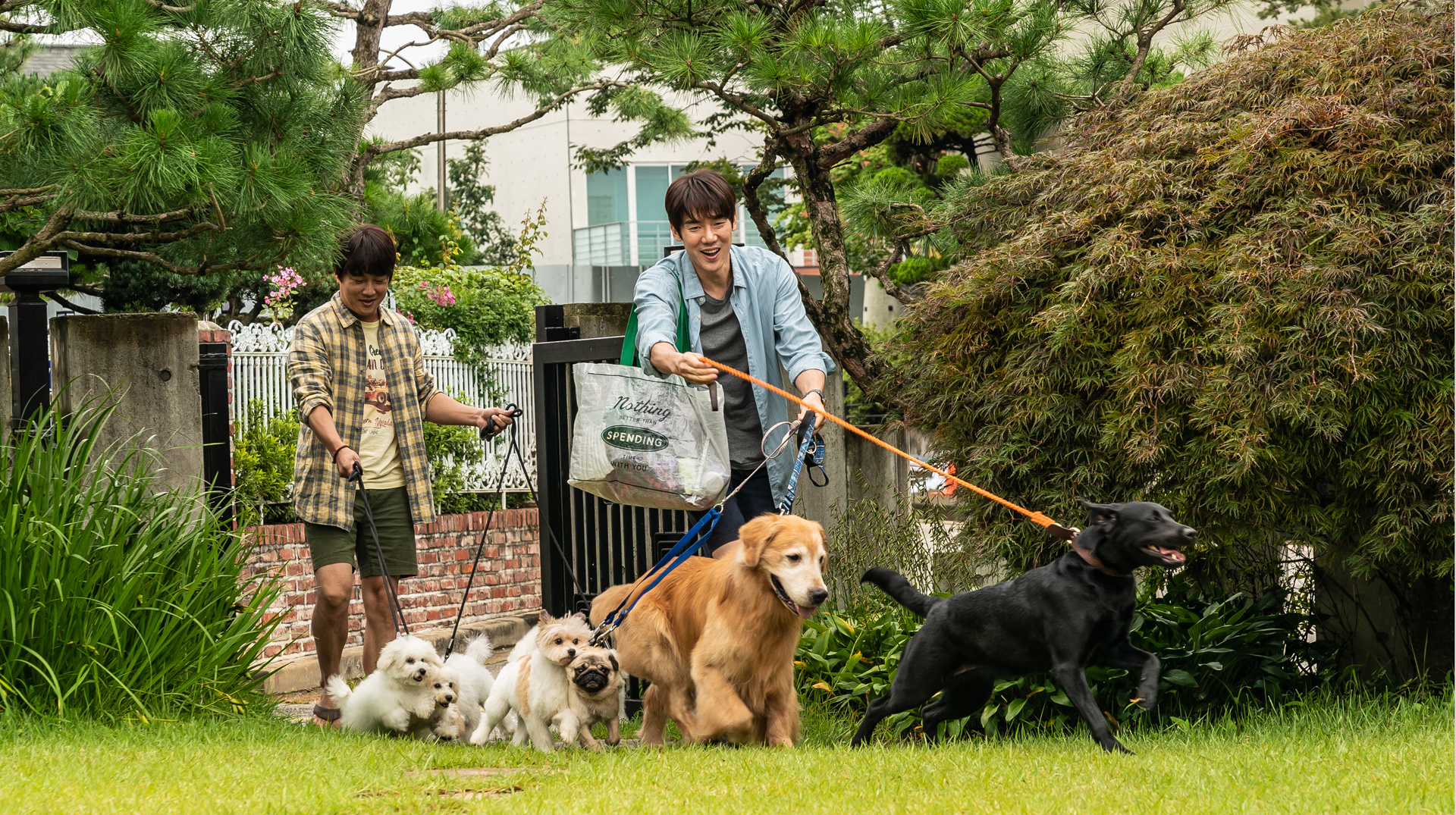 小奶狗剧照的剧照