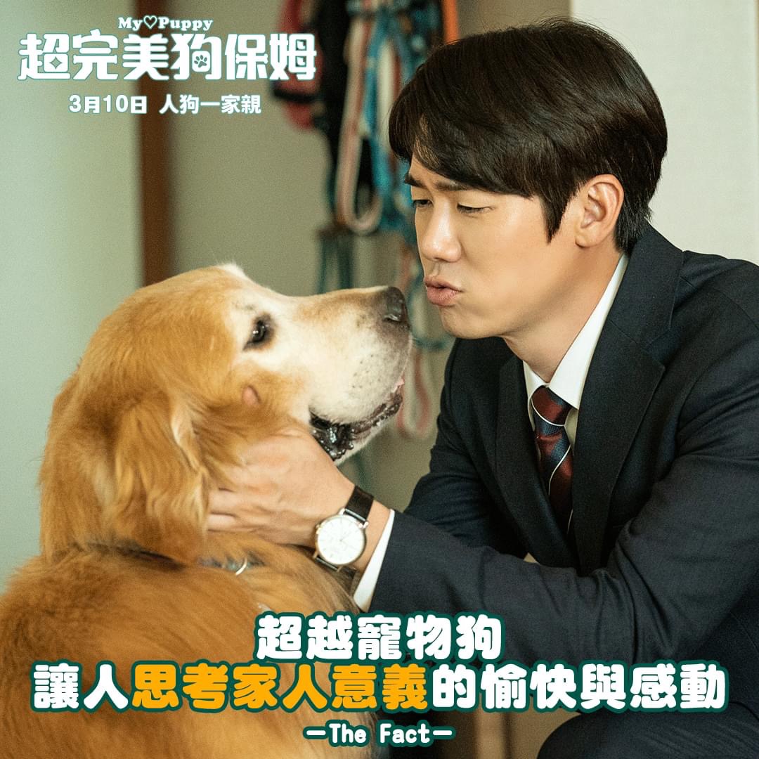 小奶狗剧照的剧照