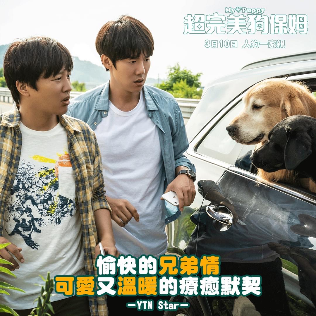 小奶狗剧照的剧照