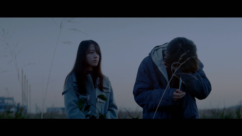 线，画出的我剧照的剧照