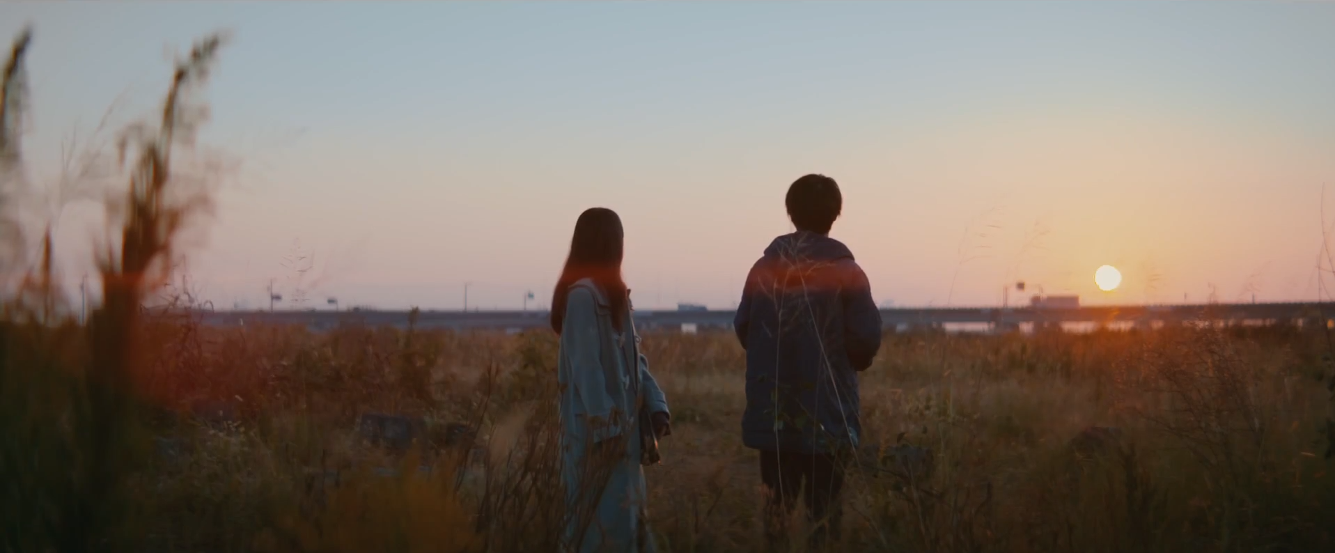 线，画出的我剧照的剧照