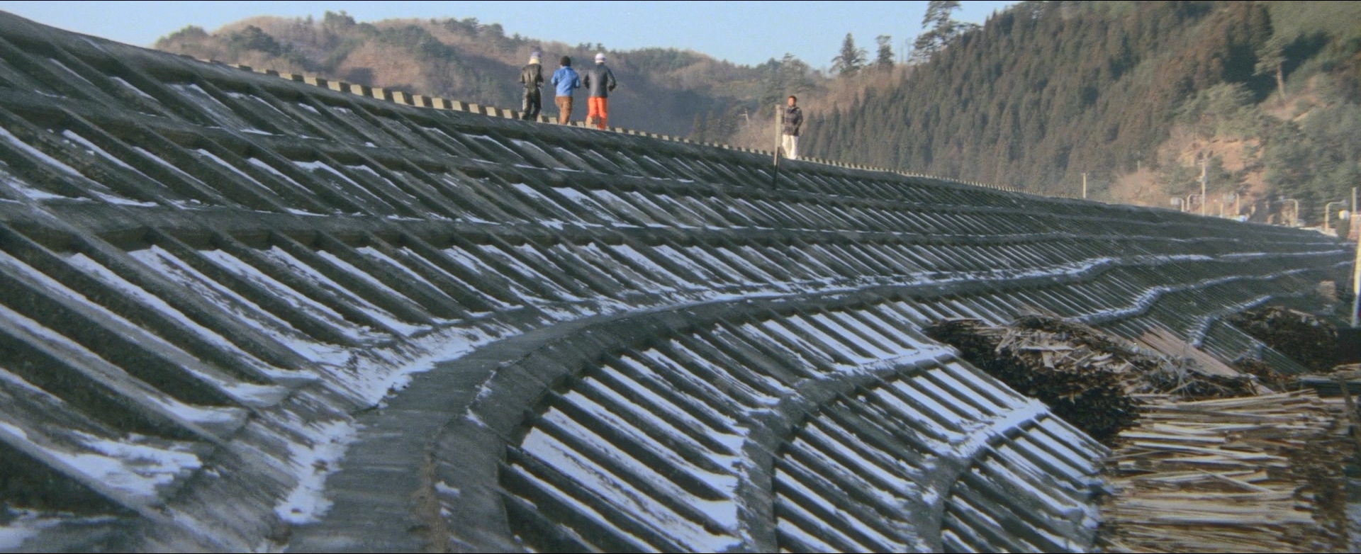 女人的小道：濡湿海峡剧照的剧照