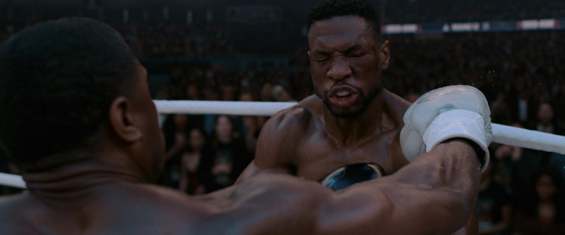 奎迪3剧照的剧照