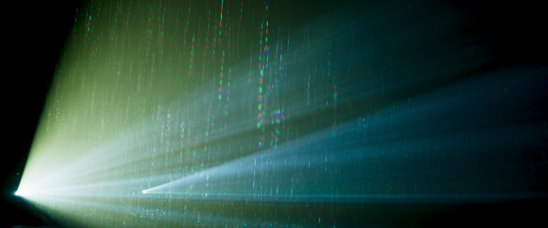 笼中之鸟剧照的剧照