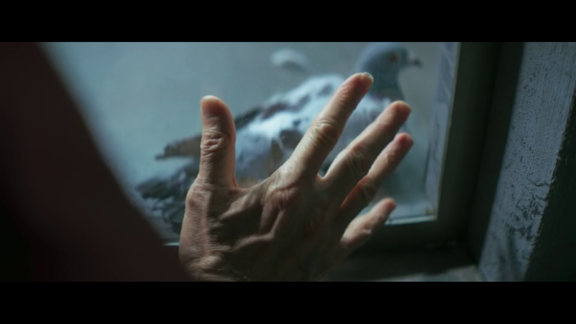 笼中之鸟剧照的剧照