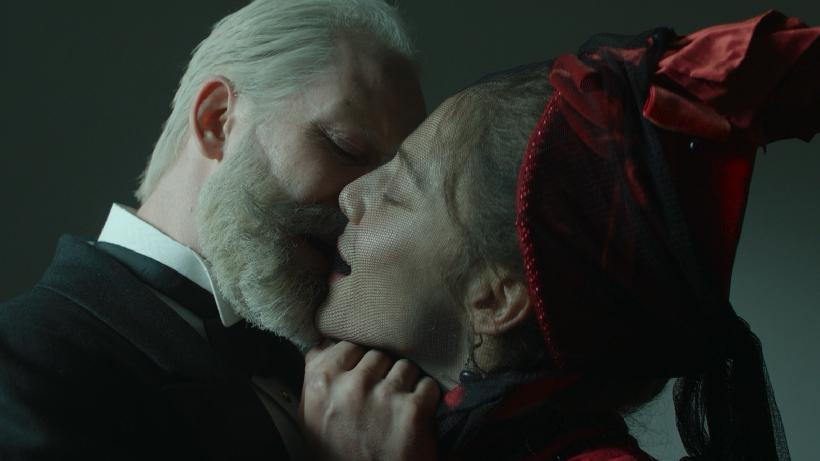 柴可夫斯基的妻子剧照的剧照