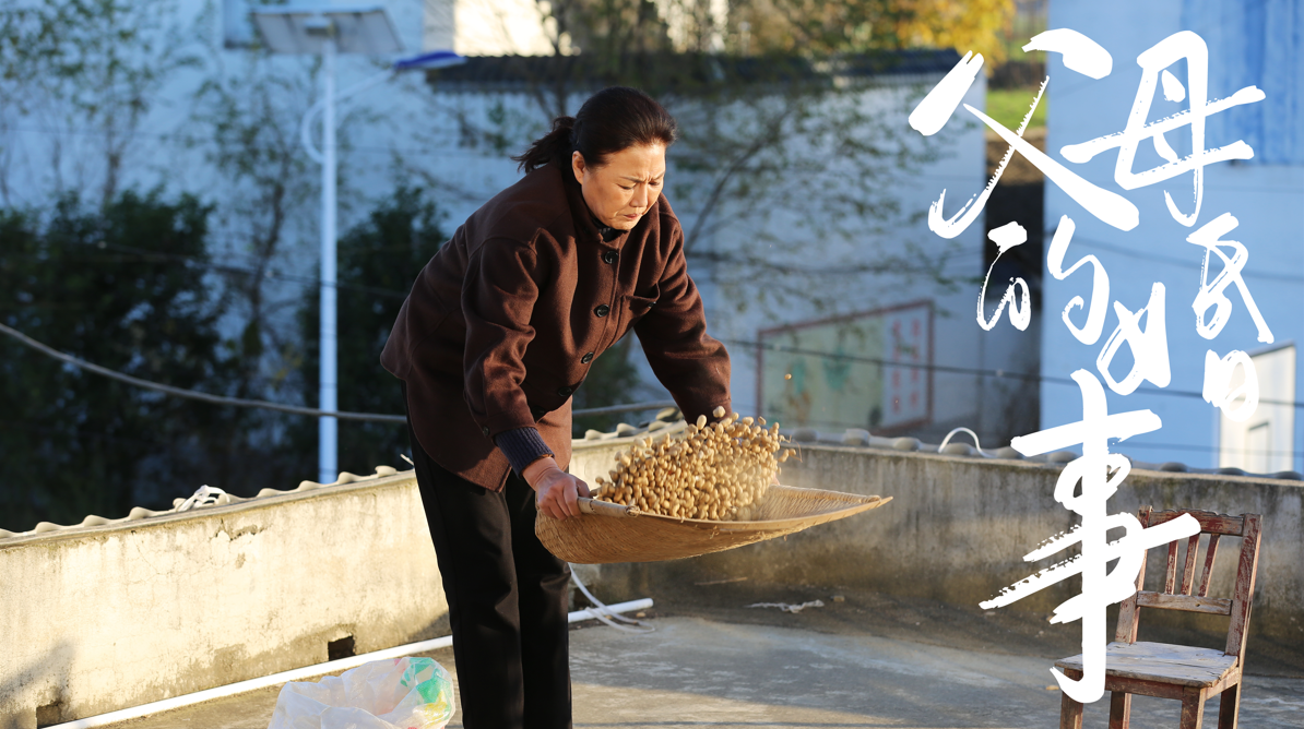 父母的婚事（戏曲豫剧）剧照的剧照