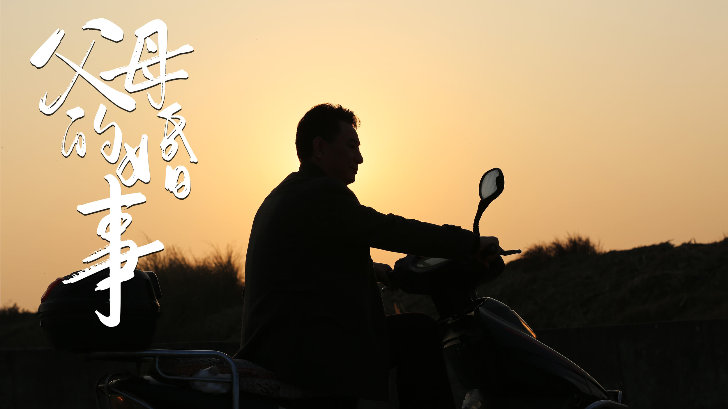 父母的婚事（戏曲豫剧）剧照的剧照