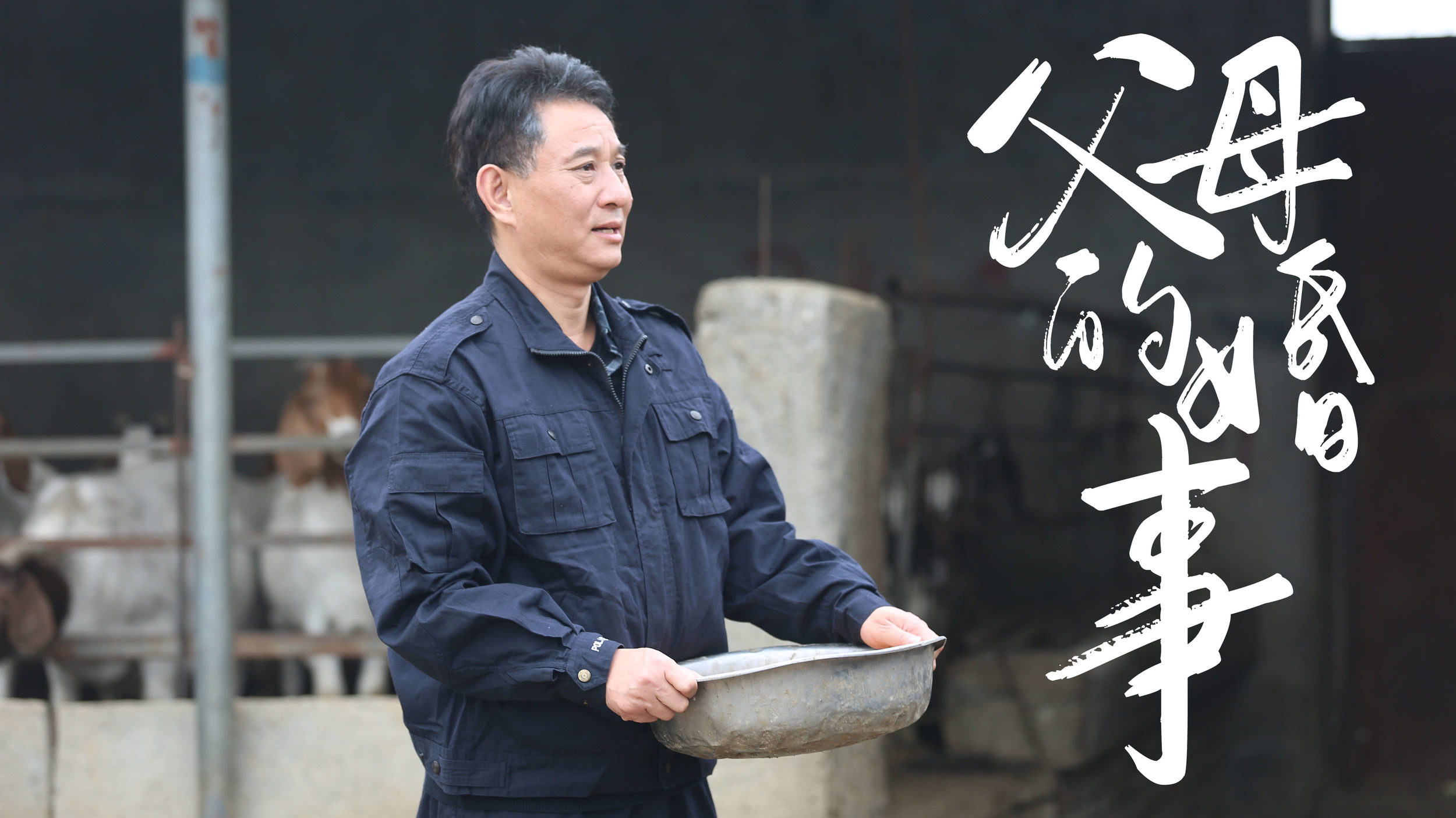 父母的婚事（戏曲豫剧）剧照的剧照