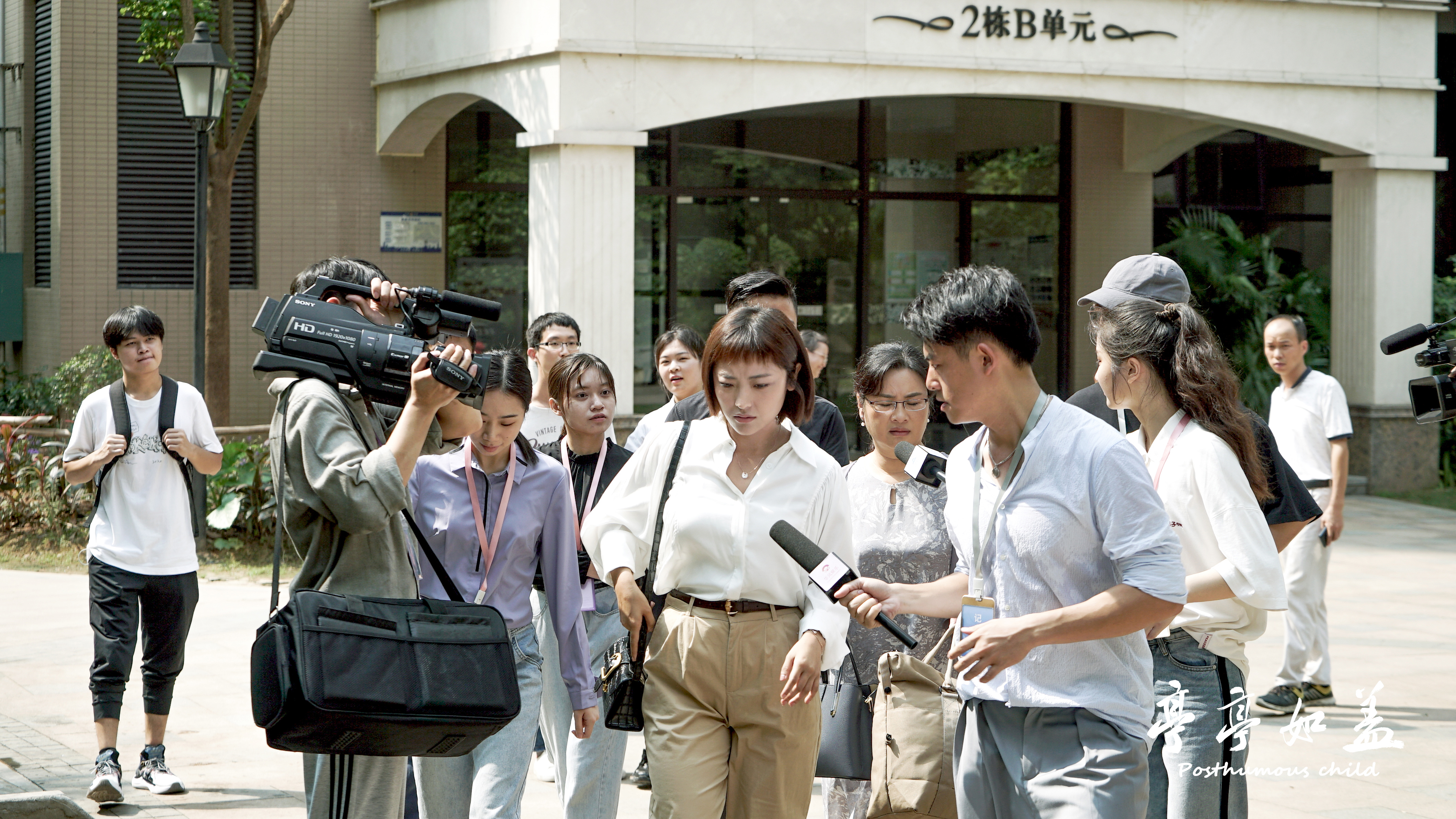 亭亭如盖剧照的剧照