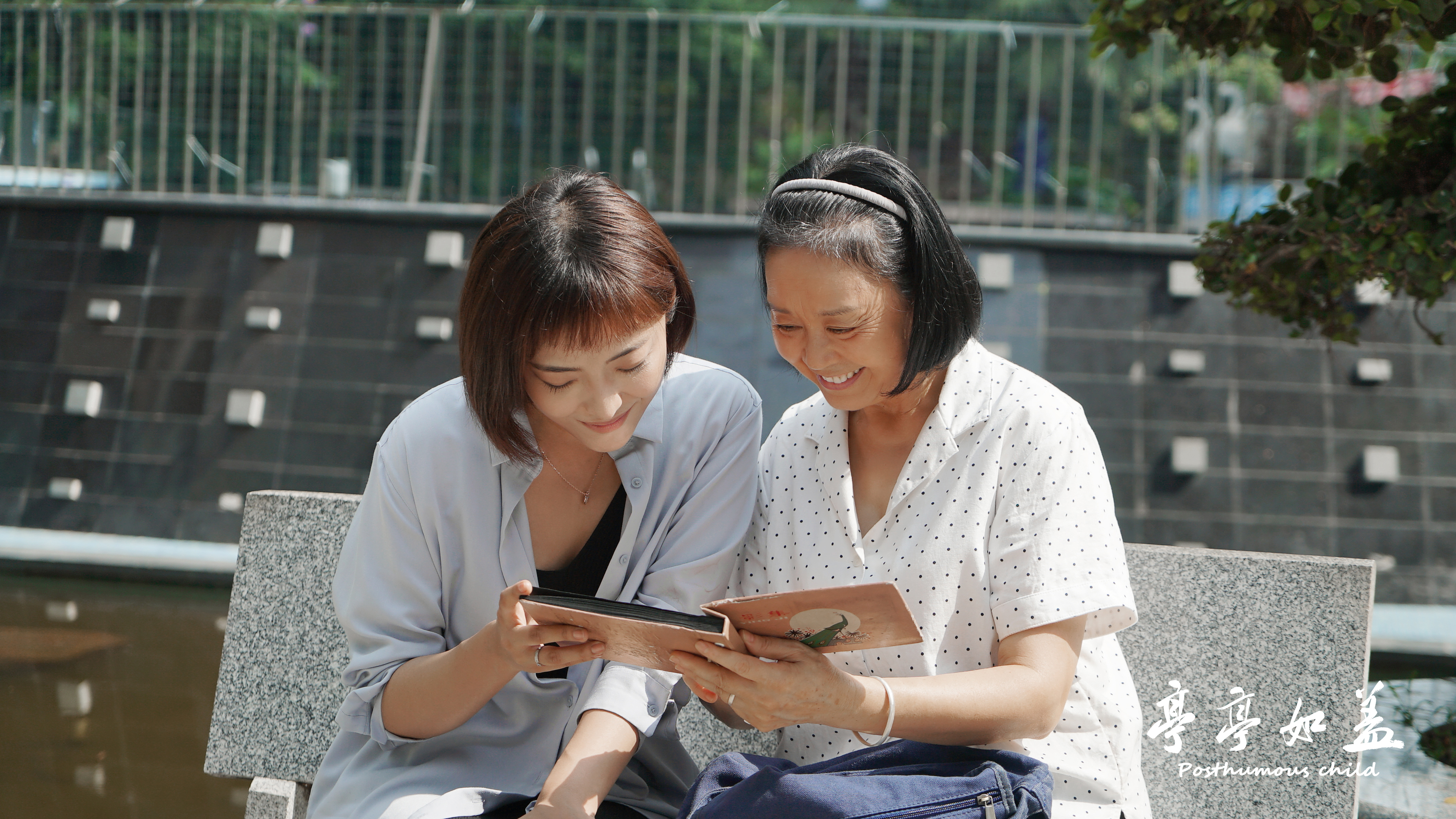 亭亭如盖剧照的剧照