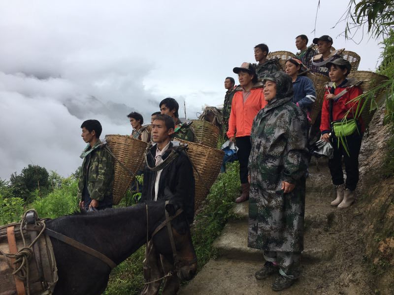 落地生根剧照的剧照