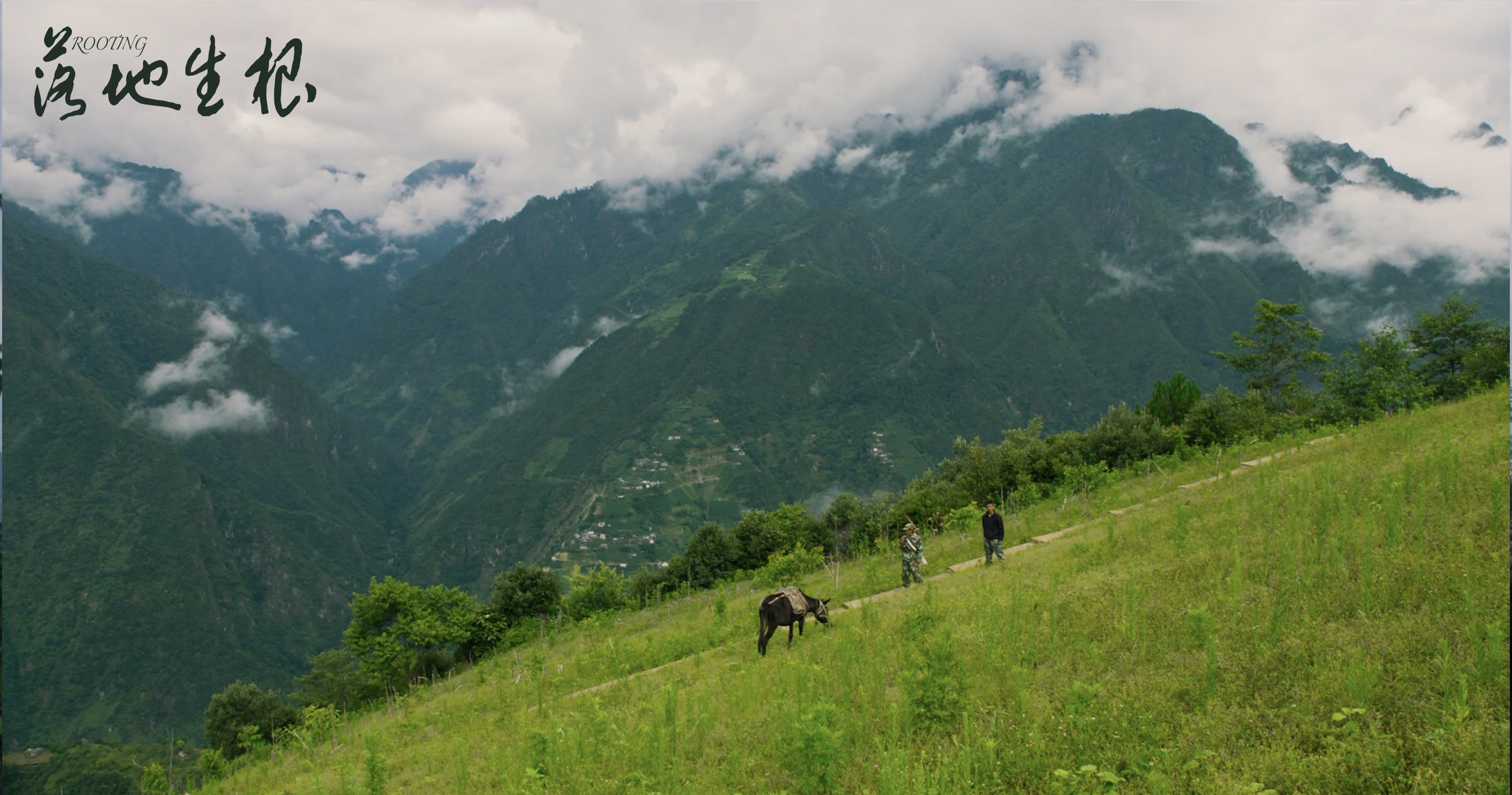 落地生根剧照的剧照