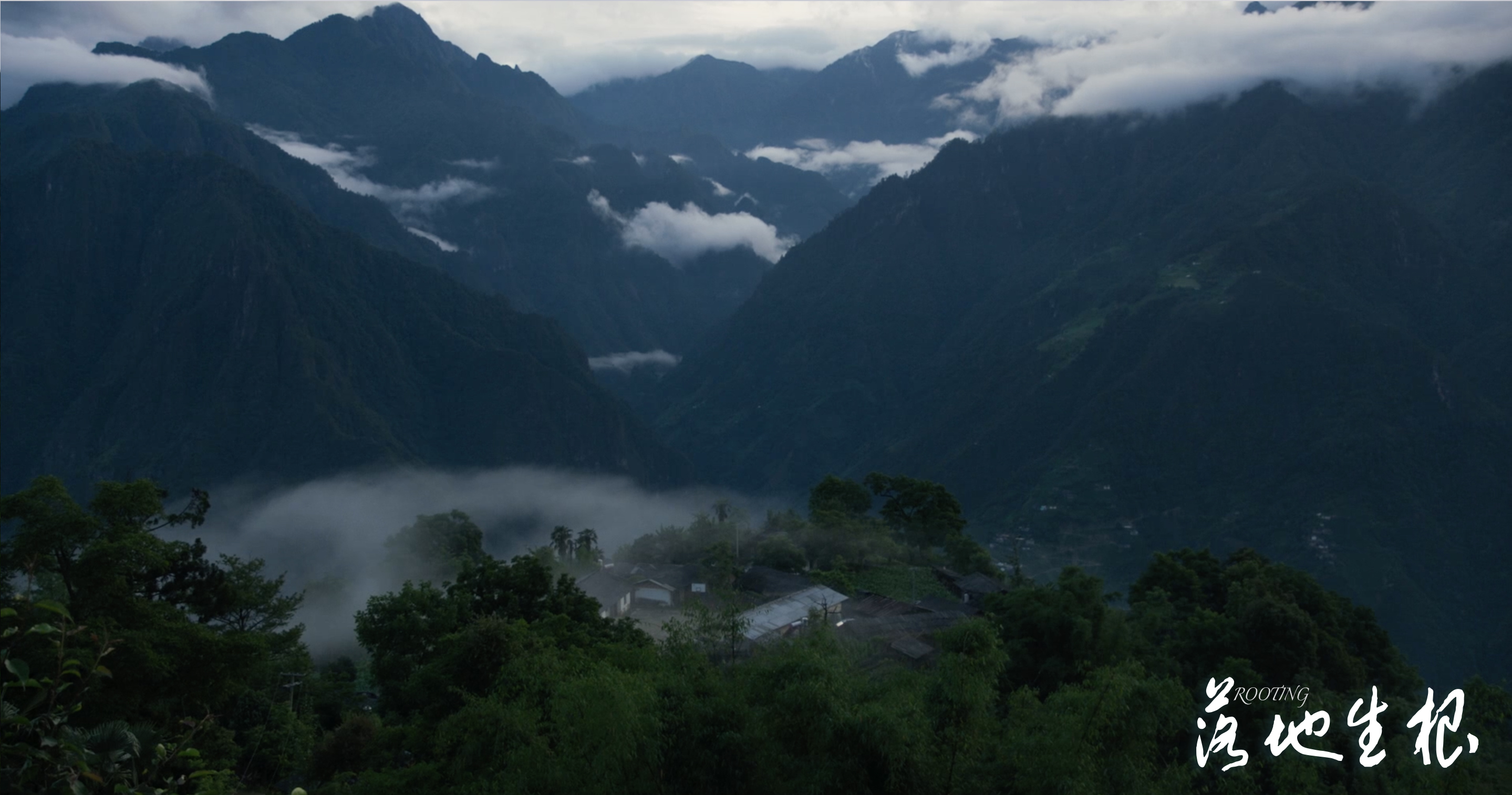 落地生根剧照的剧照