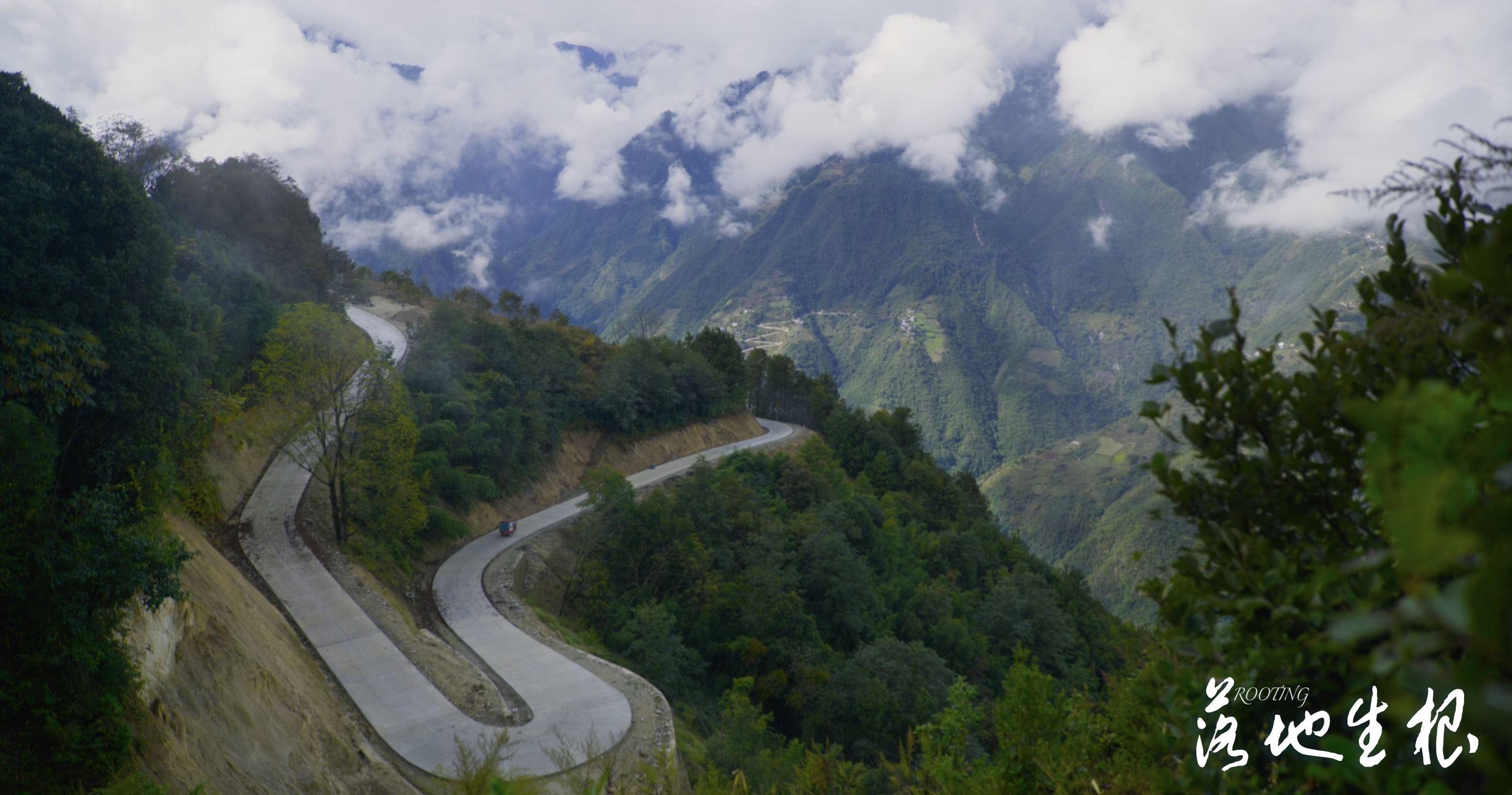 落地生根剧照的剧照